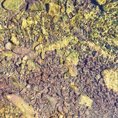 Yaz manzara dağ dere. Üst arka plan fotoğraf görüntülemek.