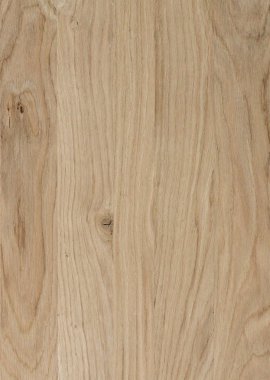 Ahşap panel ahşap bir parçası. Meşe.