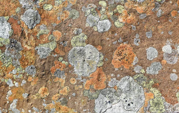 Fragmento Una Pared Piedra Decorativa Con Liquen Superficie —  Fotos de Stock