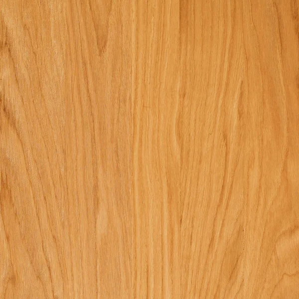 Fragmento Panel Madera Frondosas Roble — Foto de Stock