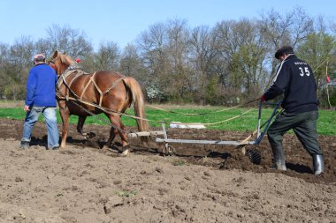 Kalush, Ukrayna - 29 Eylül 2017: bir alan tarafından el ile pulluk nadas üzerinde şehrin Kalush, Ukrayna atlı.