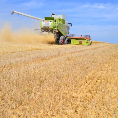 Buğday tarlasında çalışan hasatçıyı birleştirin, kırsal alanda hasat yapın.