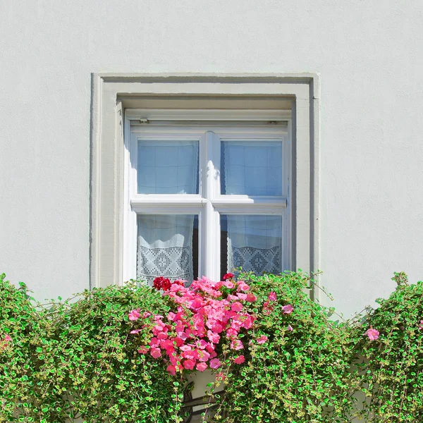 Fenêtre Ancien Bâtiment Constance Konstanz République Fédérale Allemagne 2018 — Photo