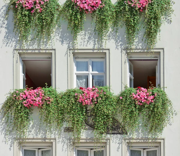 Janela Edifício Antigo Constance Konstanz República Federal Alemanha 2018 — Fotografia de Stock