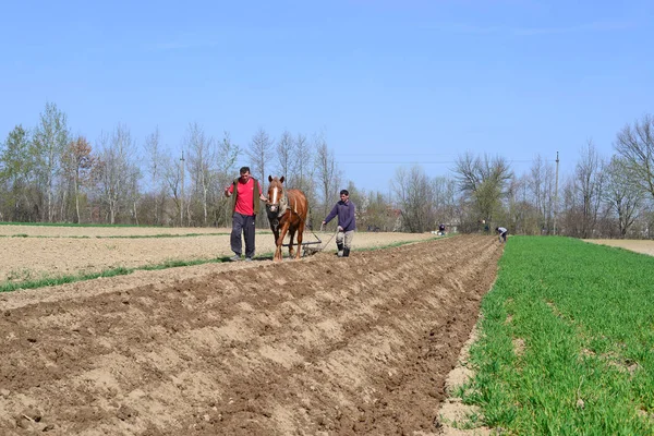乌克兰卡鲁什 4月5日 2016年4月5日 在乌克兰西部卡鲁什镇附近种植土豆 — 图库照片