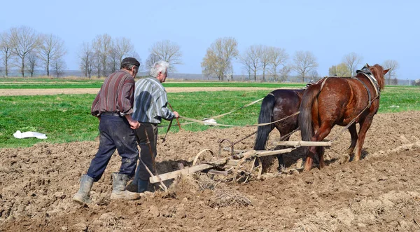 Kalush Ukraine April Beim Pflanzen Von Kartoffeln Der Nähe Der — Stockfoto