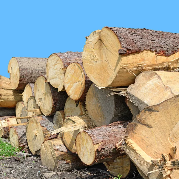 Brennholzstapel Gegen Himmel — Stockfoto