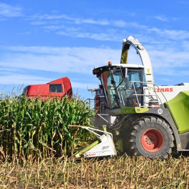 Kalush, Ukrayna - 25 Eylül 2019: Batı Ukrayna 'nın Kalush kasabası yakınlarındaki tarlada mısır tohumu hasat etme .