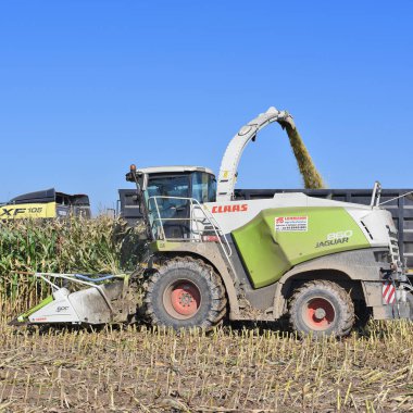 Kalush, Ukrayna - 25 Eylül 2019: Batı Ukrayna 'nın Kalush kasabası yakınlarındaki tarlada mısır tohumu hasat etme
