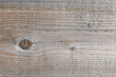 Doku eski bir kozalaklı kurulu