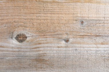 Doku eski bir kozalaklı kurulu