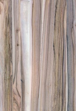 Ahşap panel ahşap bir parçası. Ceviz.