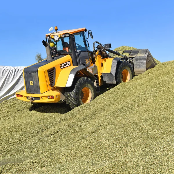 Kalush Ukraine September 2019 Laying Corn Silage Storage Silo Trench — 图库照片