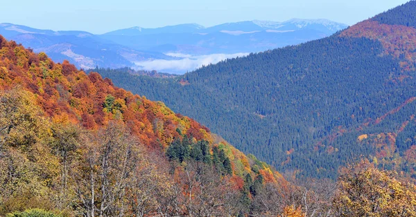 Morgen Den Karpaten — Stockfoto