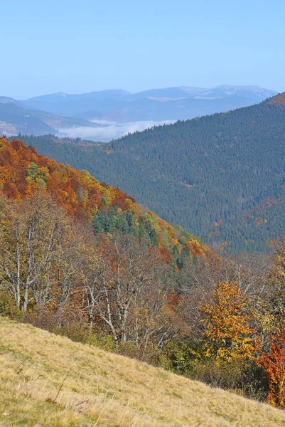 Karpatlar Sabah — Stok fotoğraf