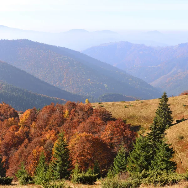 Automne Dans Les Carpates Région Mont Sheshul — Photo