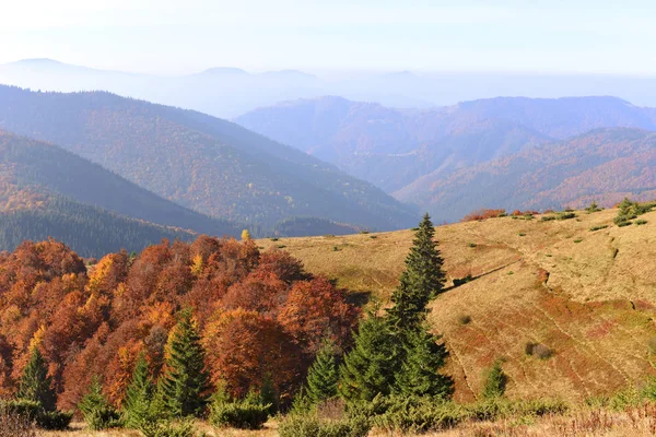 Outono Nos Cárpatos Área Monte Sheshul — Fotografia de Stock