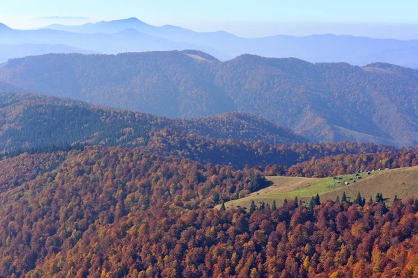 Outono Nos Cárpatos Área Monte Sheshul — Fotografia de Stock