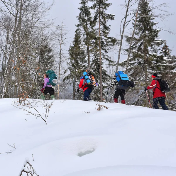 Hikers Backpacks Winter Mountains —  Fotos de Stock