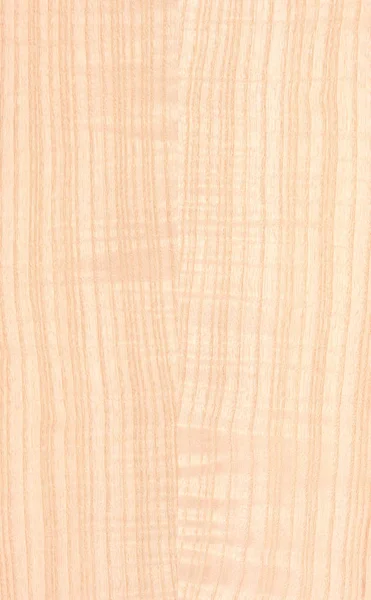 Fragmento Panel Madera Madera Dura — Foto de Stock