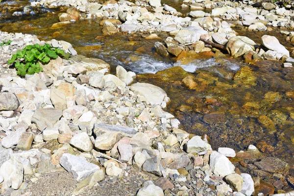 Dağlardaki Nehrin Güzel Manzarası — Stok fotoğraf