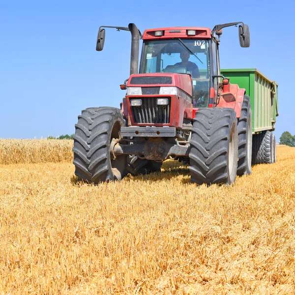 Combine Harvester Working Wheat Field Harvesting Countryside Stock Photo