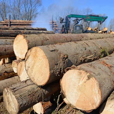 Hazırlık ve ahşap depo endüstriyel bir peyzaj.
