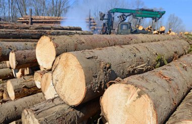 Hazırlık ve ahşap depo endüstriyel bir peyzaj.