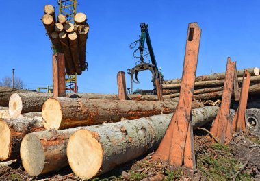 Hazırlık ve ahşap depo endüstriyel bir peyzaj.