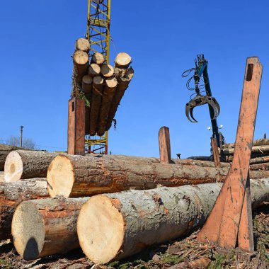 Hazırlık ve ahşap depo endüstriyel bir peyzaj.