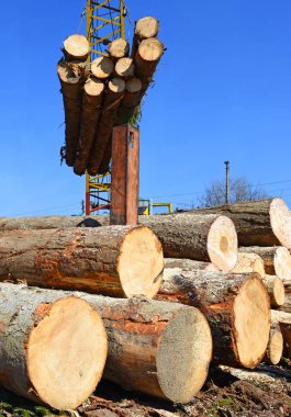 Hazırlık ve ahşap depo endüstriyel bir peyzaj.