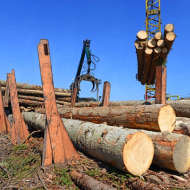 Hazırlık ve ahşap depo endüstriyel bir peyzaj.