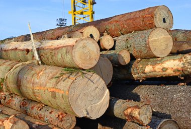 Hazırlık ve ahşap depo endüstriyel bir peyzaj.