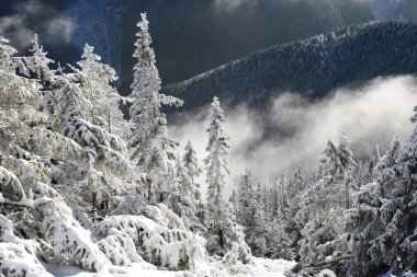Bir dağ manzarası içinde bir yamaca kış.