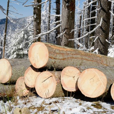 Hazırlık ve ahşap depo endüstriyel bir peyzaj.