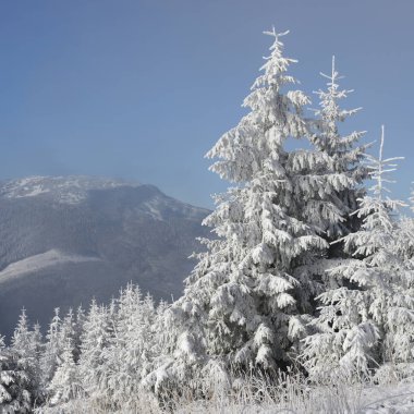 Bir dağ manzarası içinde bir yamaca kış.