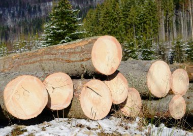 Hazırlık ve ahşap depo endüstriyel bir peyzaj.