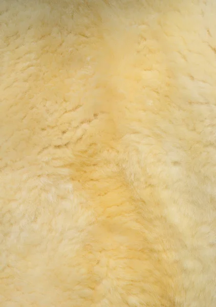 羊の製造された皮 — ストック写真
