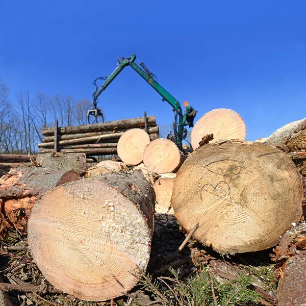 Förberedelse Och Trä Lagring Ett Industriellt Landskap — Stockfoto