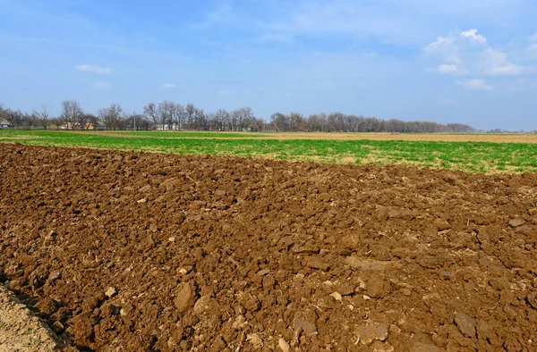 Campo Primavera Dopo Aratura — Foto Stock