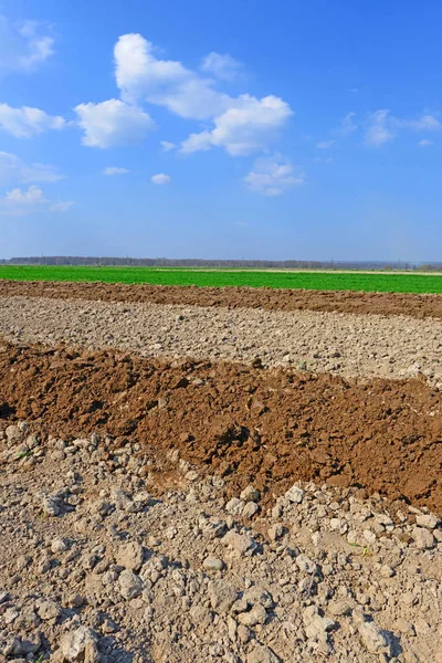 Plowed Field Soil Blue Sky — Zdjęcie stockowe
