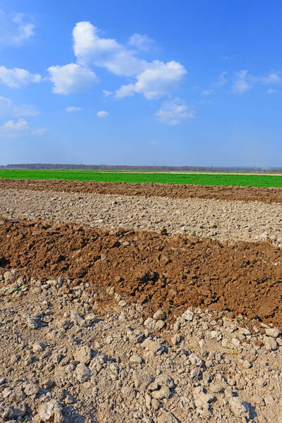 plowed field with soil and blue sky
