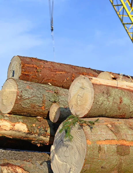 Förberedelse Och Trä Lagring Ett Industriellt Landskap — Stockfoto