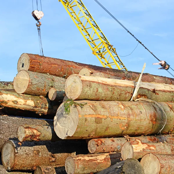 準備と産業景観で木材倉庫 — ストック写真