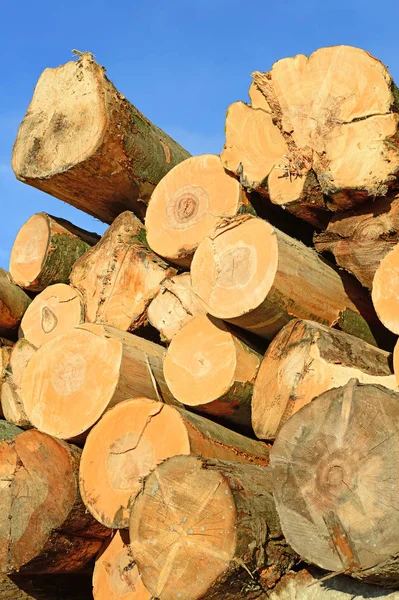 Voorbereiding Hout Opslag Een Industrieel Landschap — Stockfoto