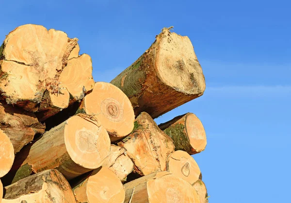 Voorbereiding Hout Opslag Een Industrieel Landschap — Stockfoto