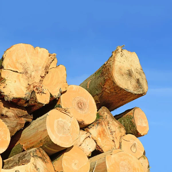 Preparazione Deposito Del Legno Paesaggio Industriale — Foto Stock