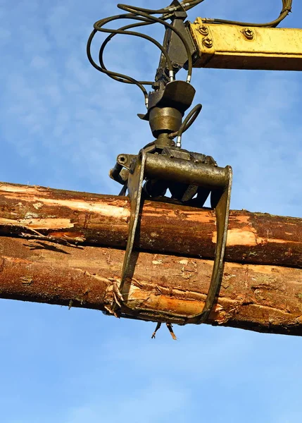 Préparation Entreposage Bois Dans Paysage Industriel — Photo