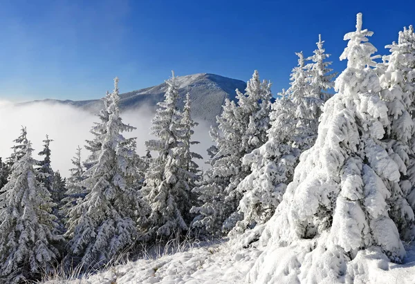 冬天在山坡上 在一个山风景 — 图库照片