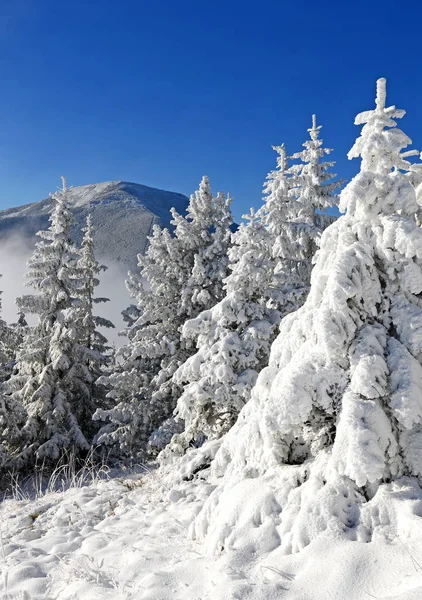 Зима Схилі Пагорба Гірському Пейзажі — стокове фото